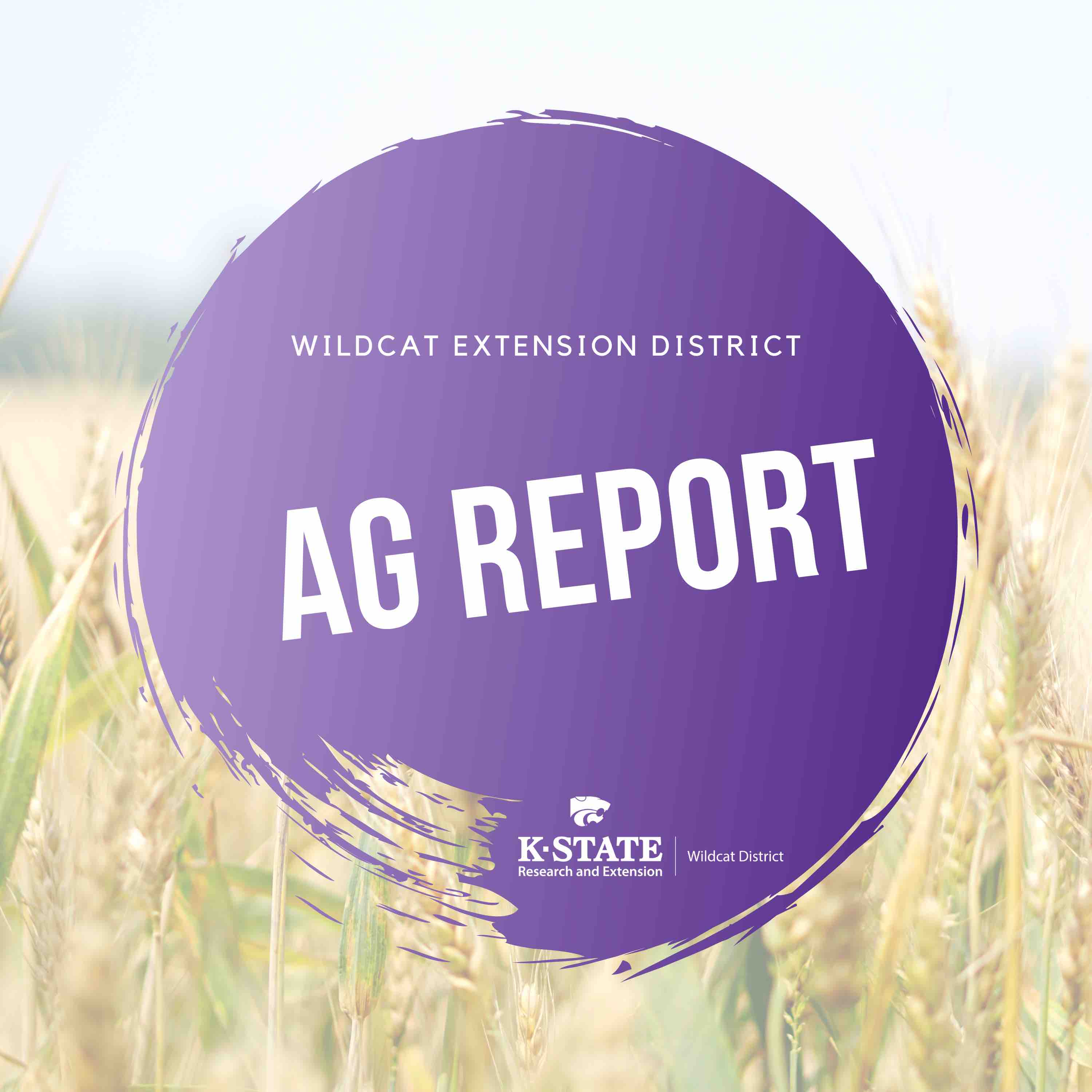 Ag Report Podcast Cover Photo