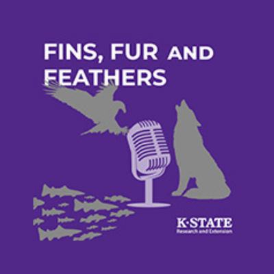 Fins, Fur and Feathers Podcast Cover